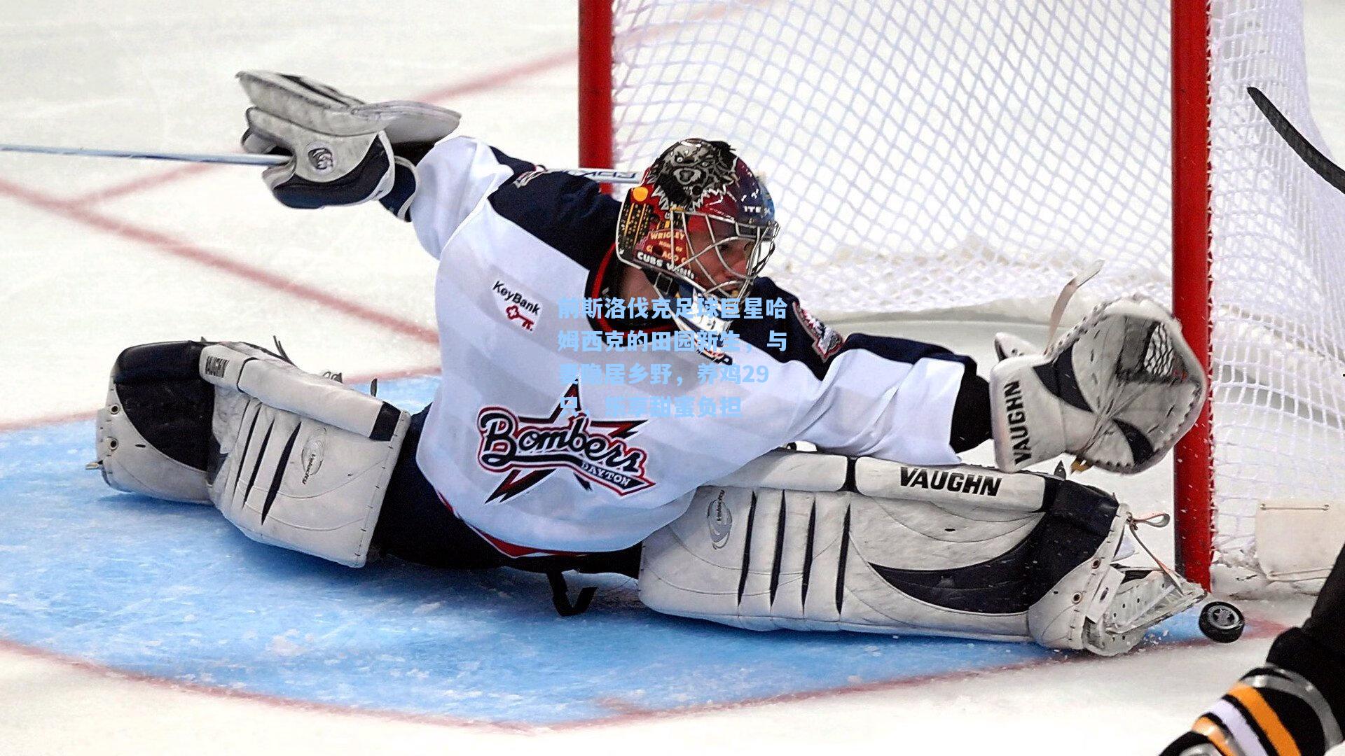 前斯洛伐克足球巨星哈姆西克的田园新生，与妻隐居乡野，养鸡29只，乐享甜蜜负担