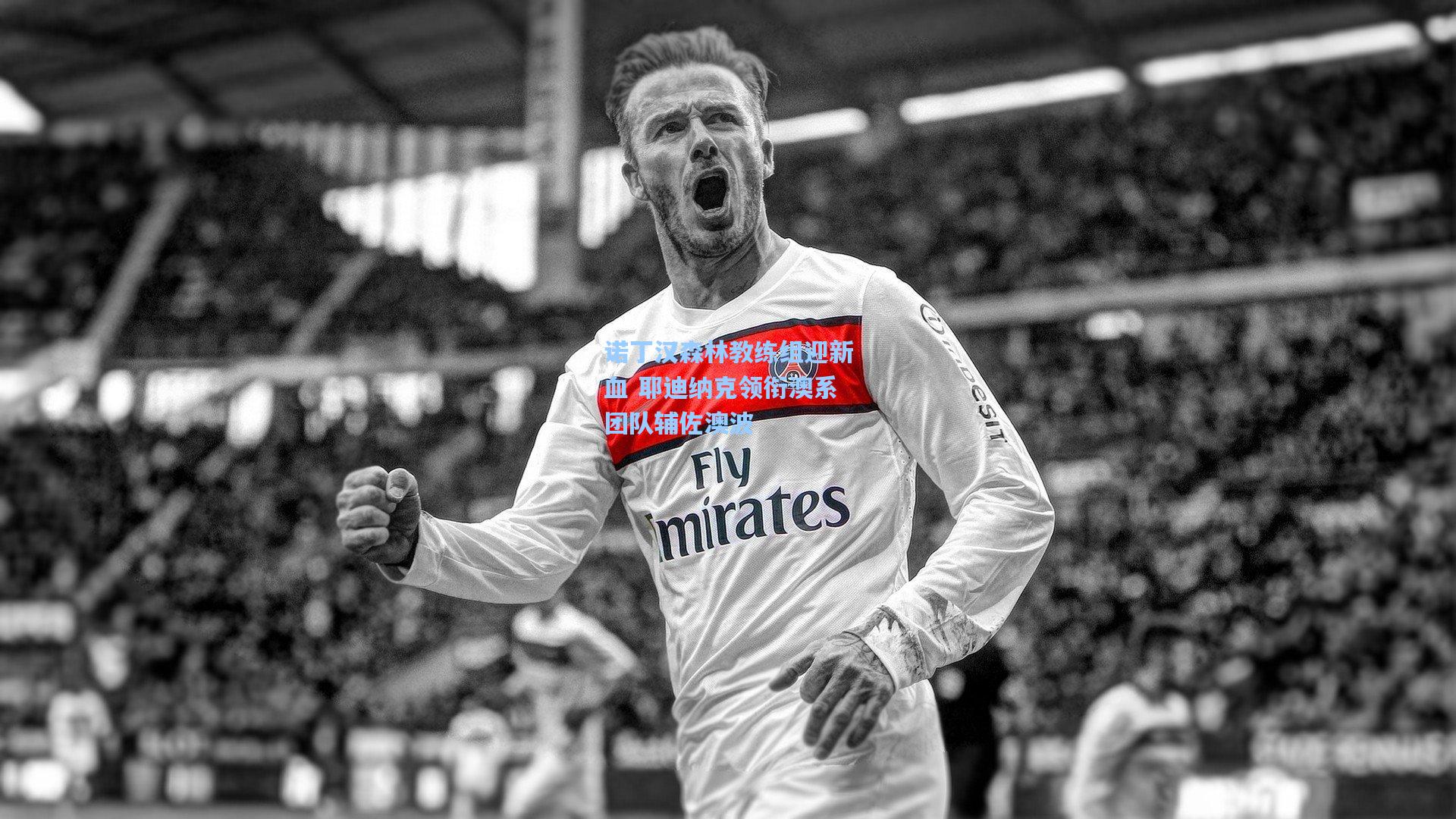 诺丁汉森林教练组迎新血 耶迪纳克领衔澳系团队辅佐澳波