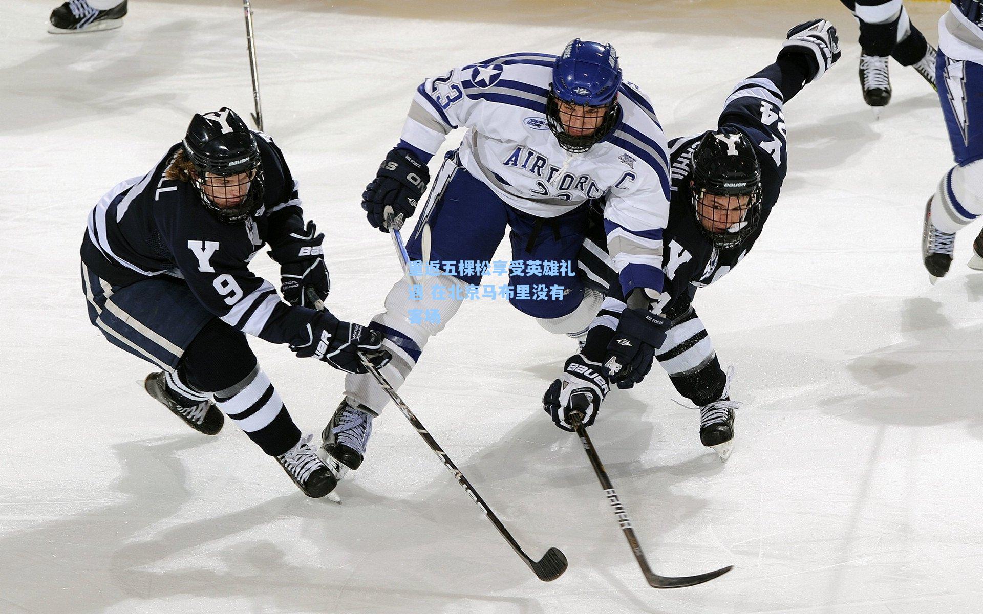 重返五棵松享受英雄礼遇 在北京马布里没有客场