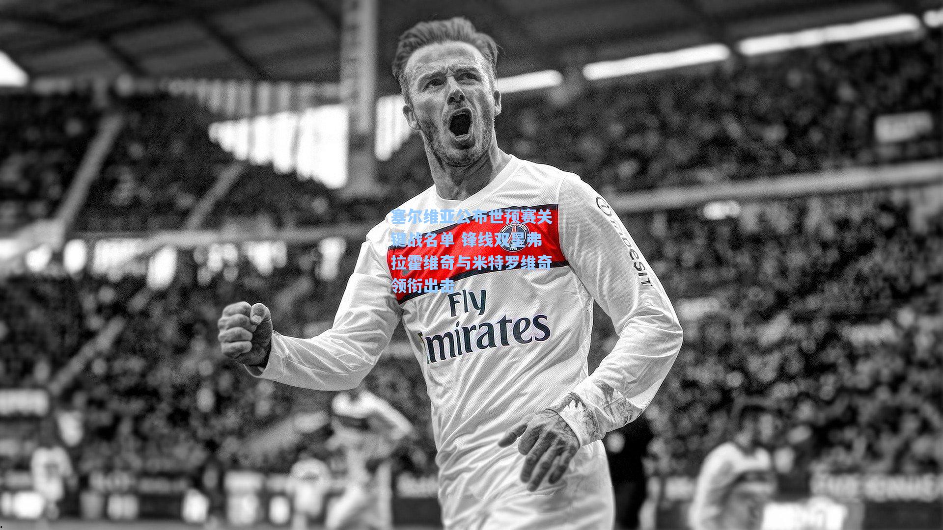 塞尔维亚公布世预赛关键战名单 锋线双星弗拉霍维奇与米特罗维奇领衔出击