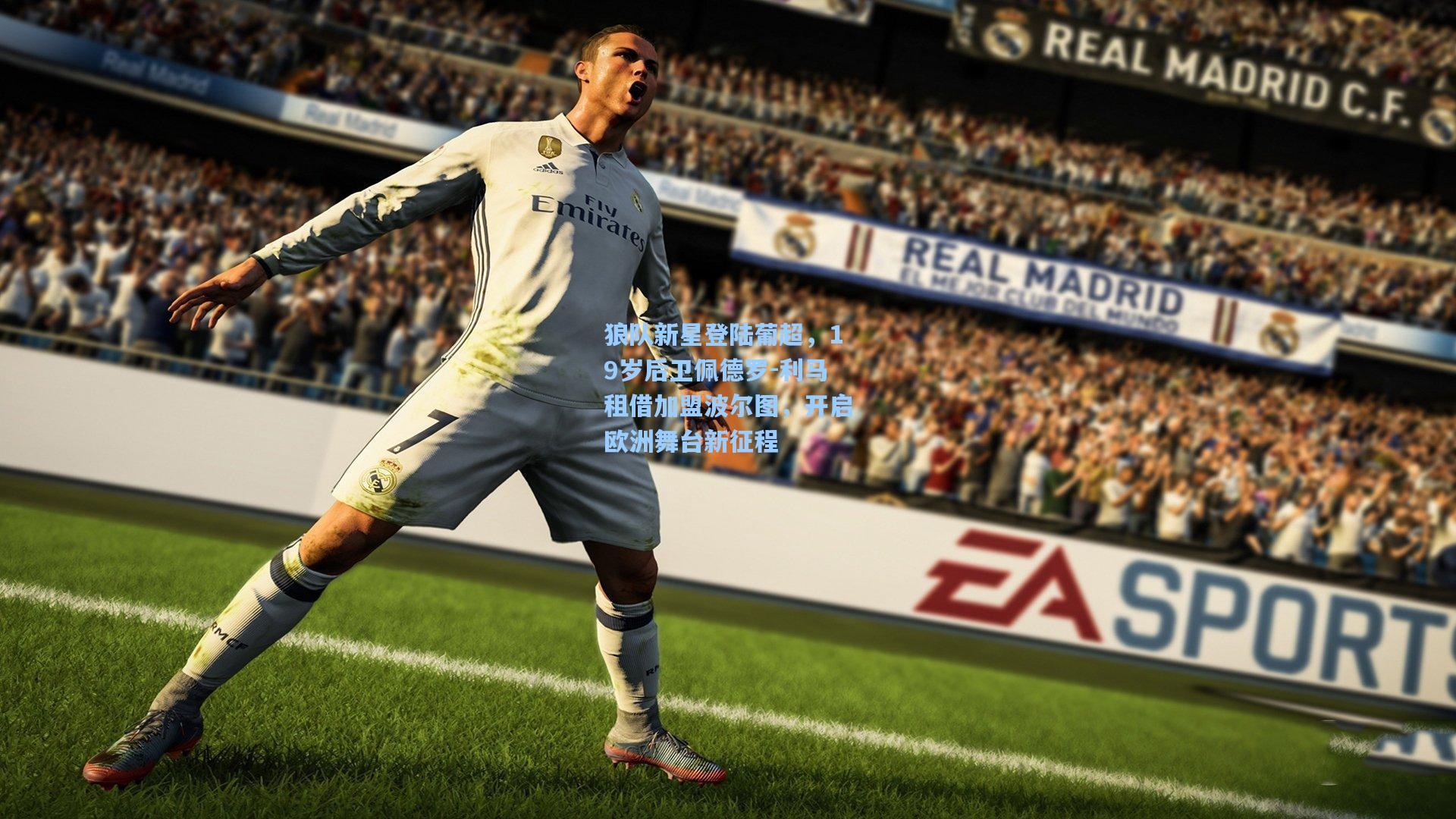 狼队新星登陆葡超,19岁后卫佩德罗-利马租借加盟波尔图,开启欧洲舞台新征程